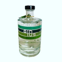 Gin Ginius 50% Vol. 50cl     