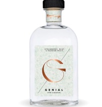Gin Meyer's Gin Genial 24% Vol. 50cl     