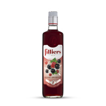 Jenever Filliers Fruit Bessen 20% Vol. 70cl    